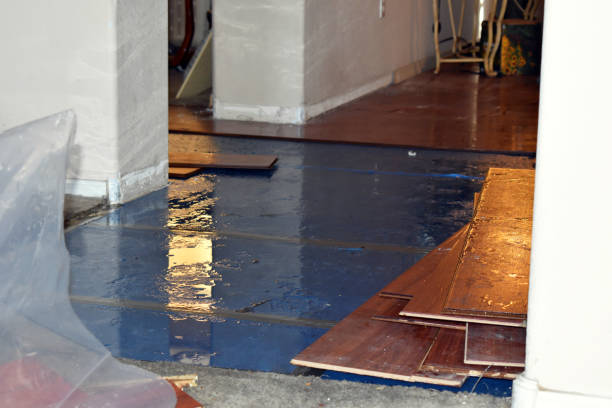 Professional Basement Flood Cleanup technician working in Red Oak, NC